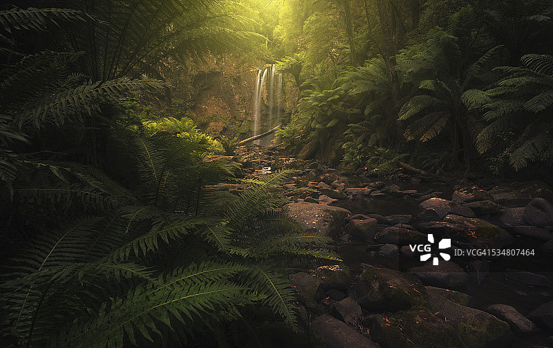 澳大利亚维多利亚州美丽的瀑布、小溪和茂密的灌木丛图片素材