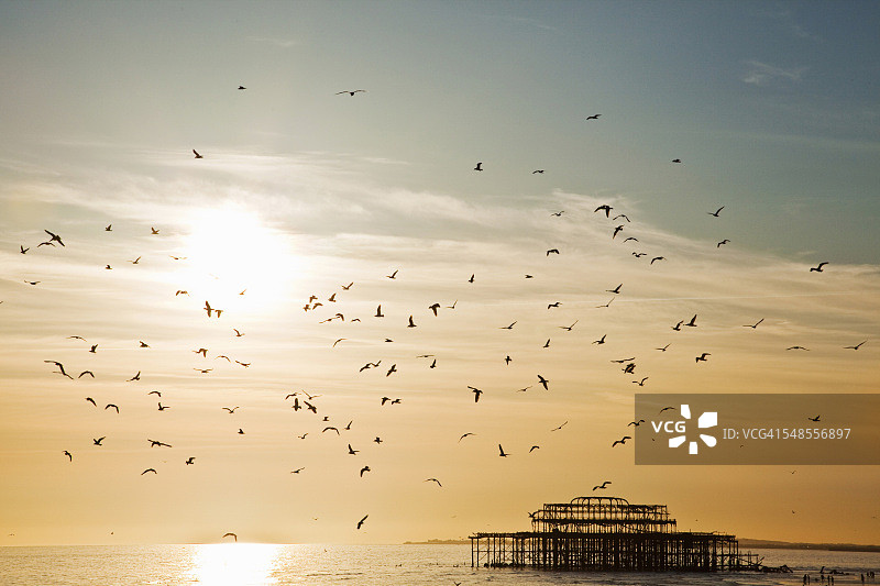 海鸥的剪影飞过布莱顿码头，布莱顿，苏塞克斯，英国图片素材
