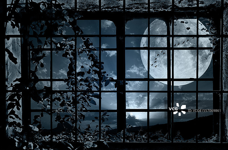 窗外的月亮图片素材