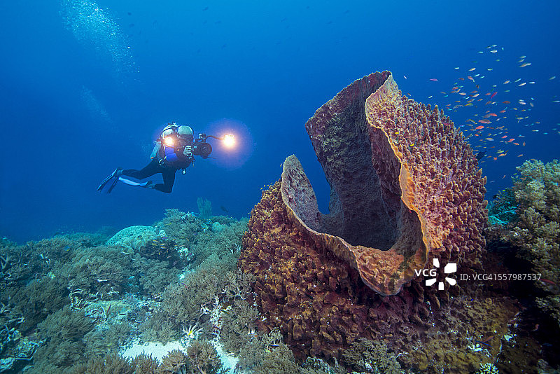 苏禄海的珊瑚礁图片素材