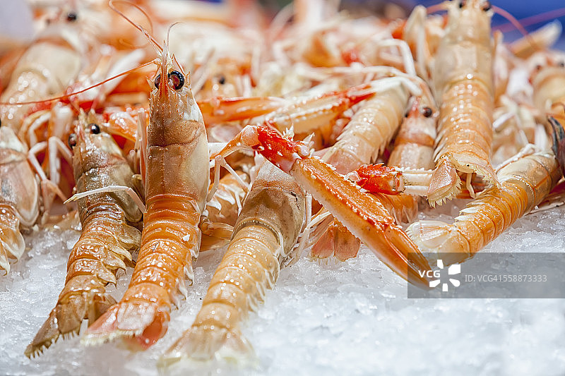 巴伦西亚中央市场的挪威龙虾图片素材