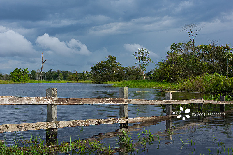 亚马逊河被淹的农田图片素材