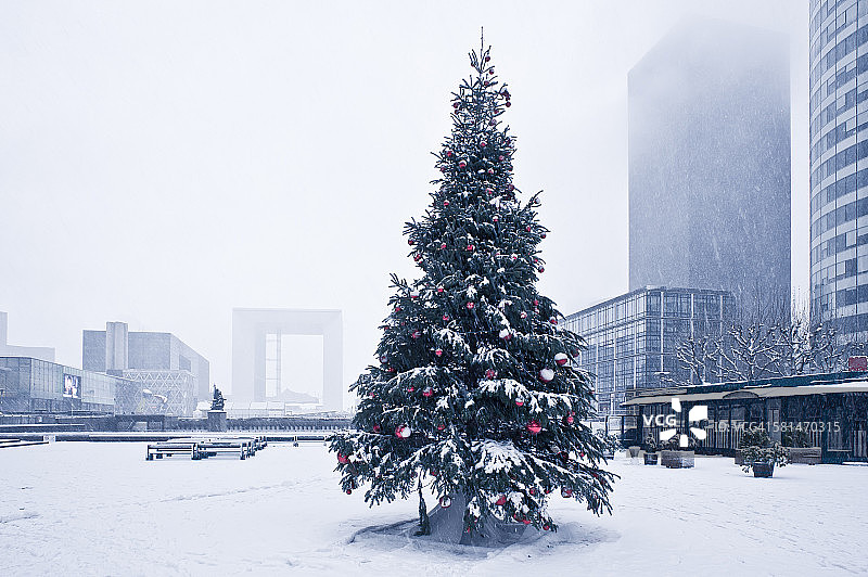 拉德芳斯白雪下的圣诞树图片素材