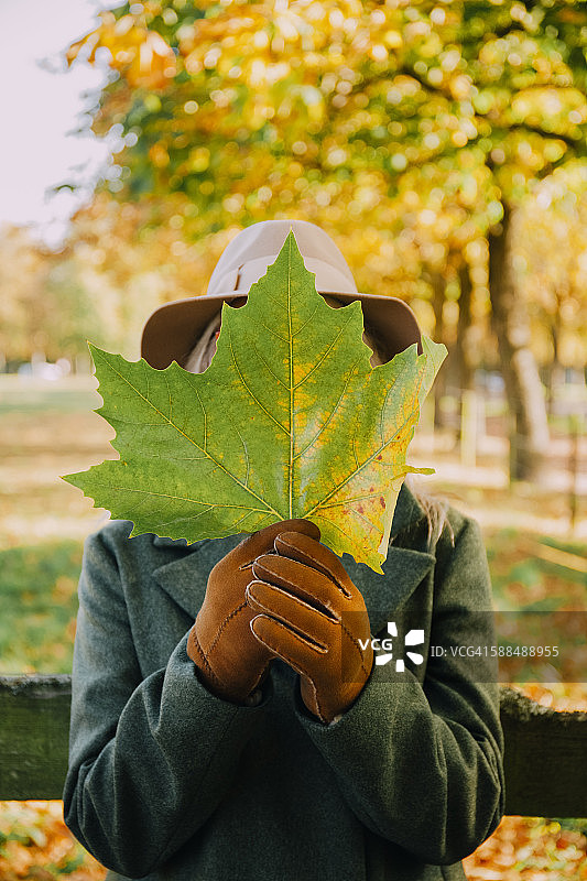 女人把脸藏在一片秋叶后面图片素材