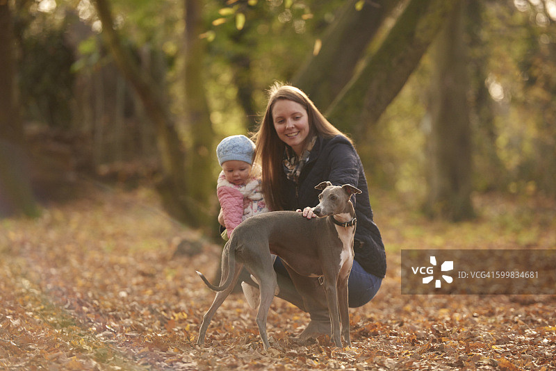中年成年妇女和婴儿女儿在秋天公园抚摸狗图片素材