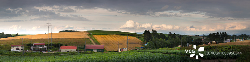 北海道北夷农场全景。图片素材