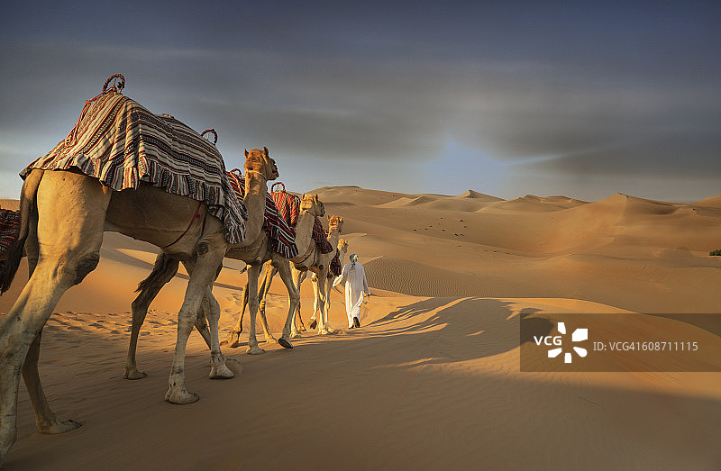 日落时，骆驼在沙漠中穿行图片素材