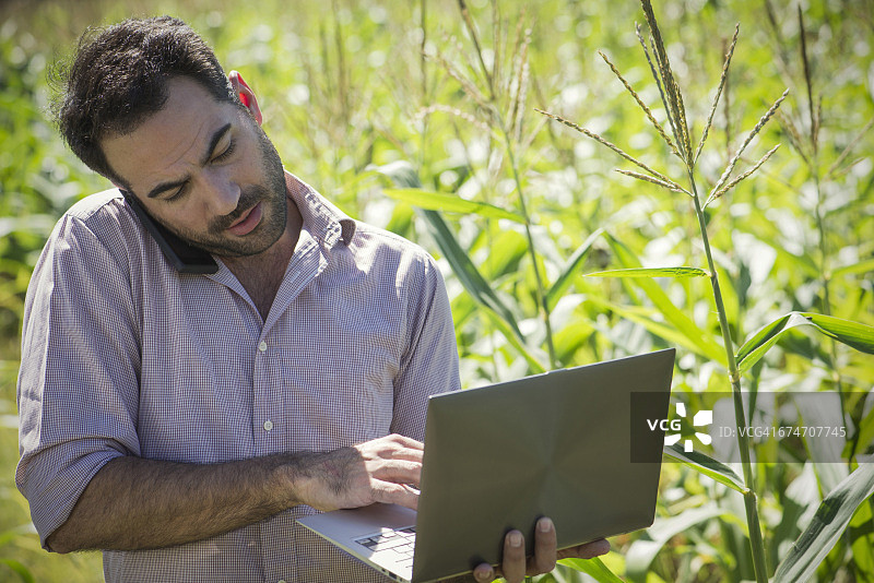 科学家在玉米地边打电话边使用笔记本电脑图片素材