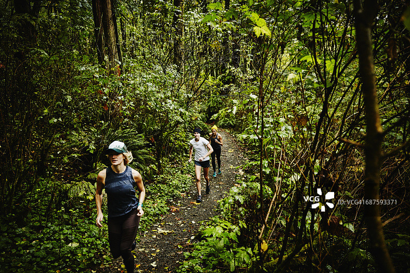 一群女人在穿越森林的小道上奔跑图片素材