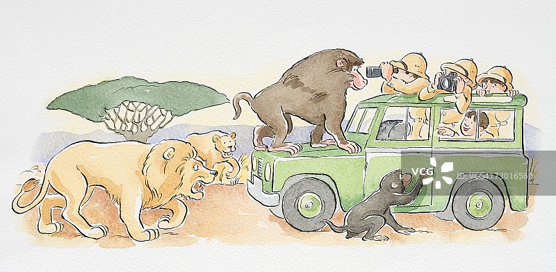 猴子爬上一辆狩猎吉普车，狮子紧随其后。图片素材