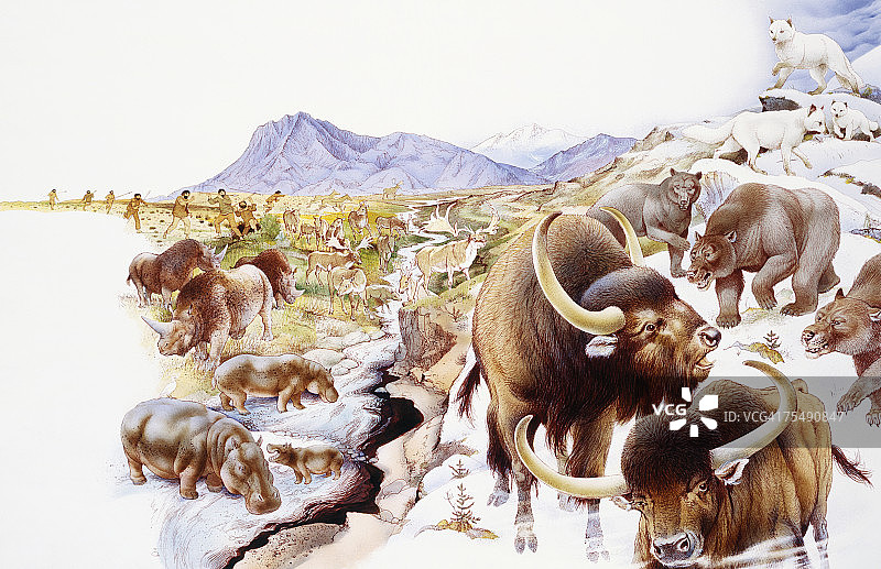 不同种类的哺乳动物聚集在崎岖的地形上图片素材