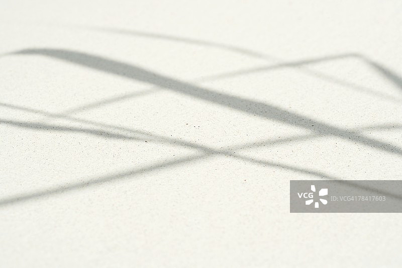 沙地上植物的影子，特写图片素材