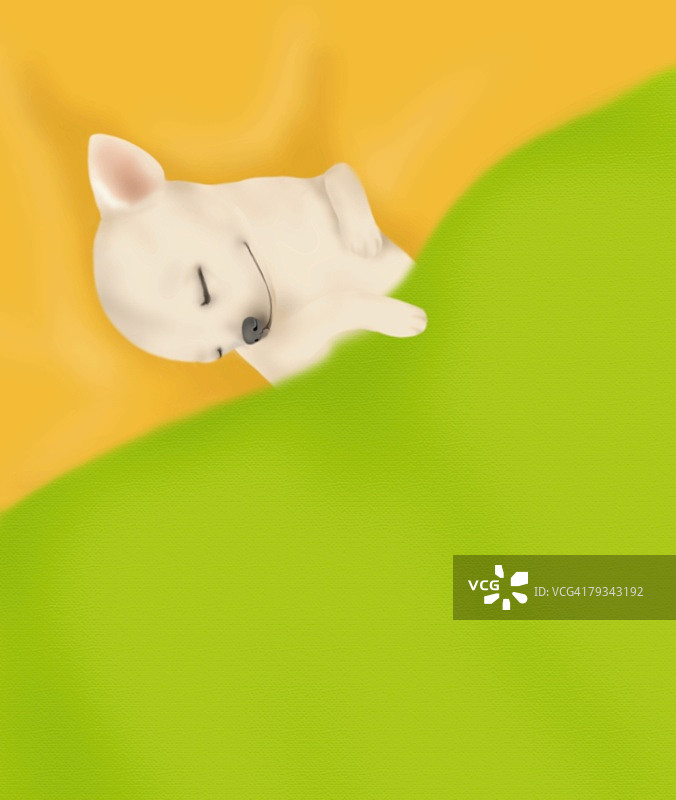 吉娃娃睡在橙色和绿色的毯子里，高视角，复印空间图片素材