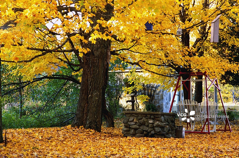 秋天的后院图片素材