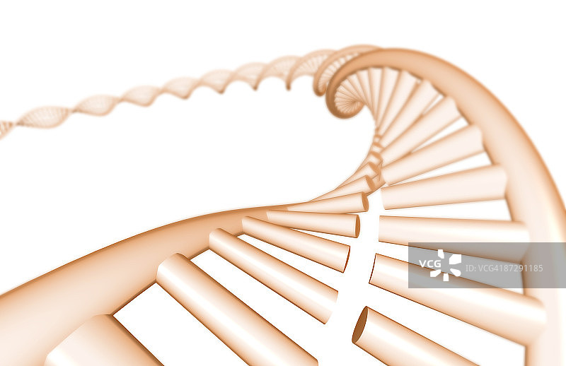 DNA结构图片素材