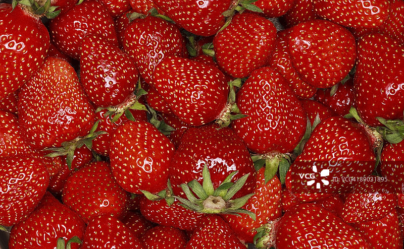 有机草莓,fullframe图片素材