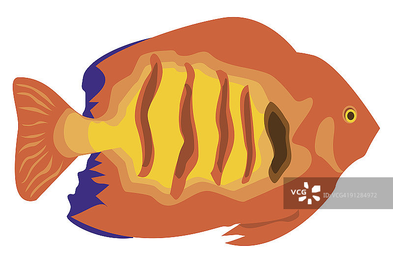 橙色和黄色条纹热带鱼的数字插图图片素材