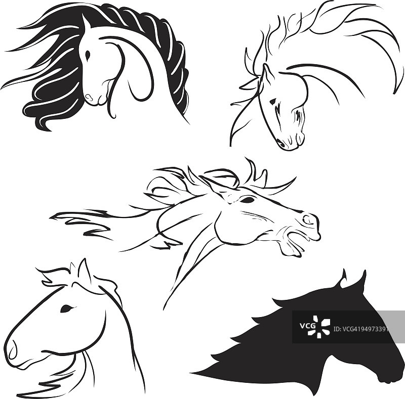 五个程式化的马头在钢笔和墨水风格的绘画图片素材