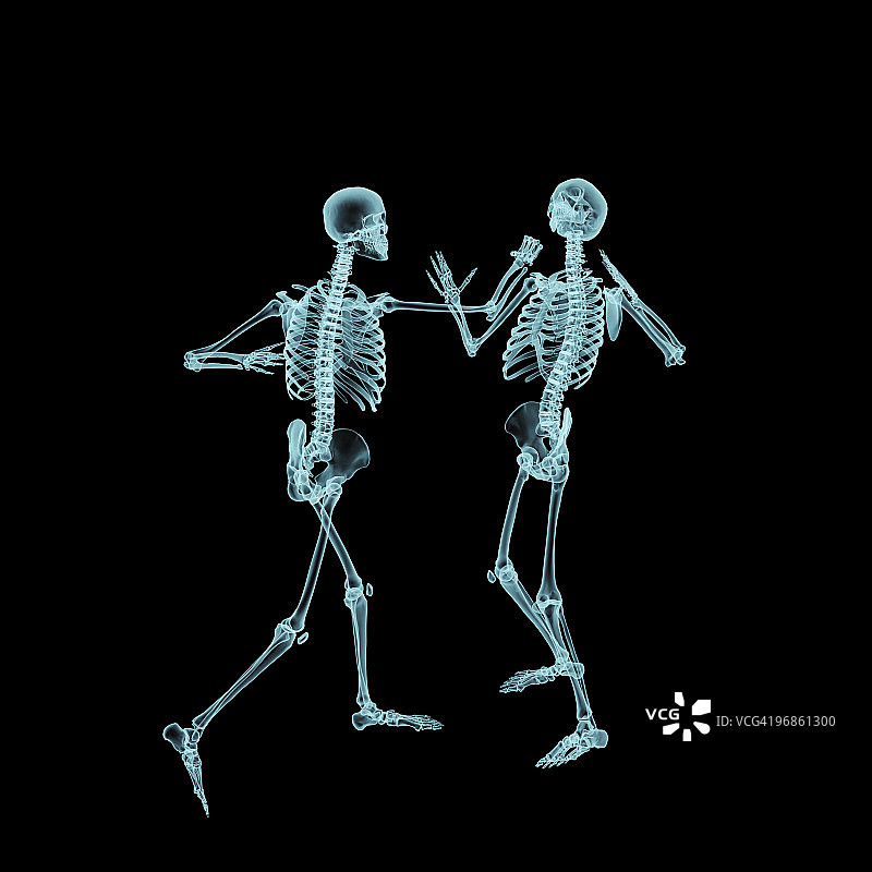 两具男性人类骨骼正在打斗图片素材