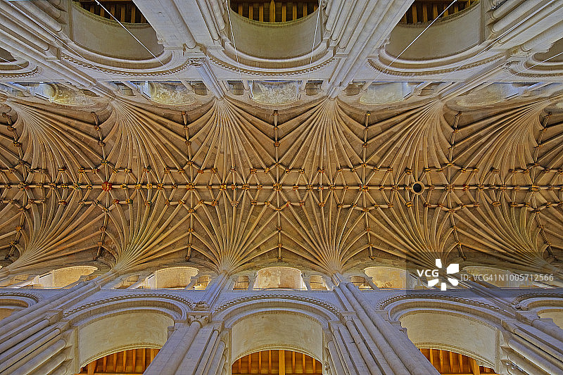 英国诺福克诺维奇诺维奇大教堂中殿天花板图片素材