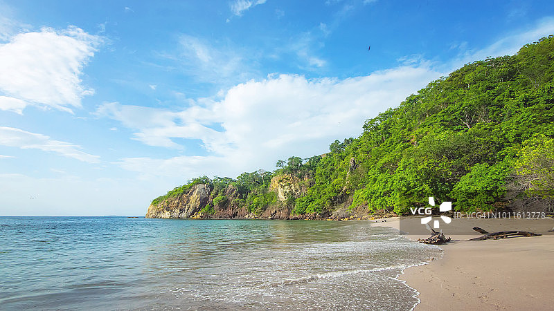 美丽的森林米纳斯海滩，瓜那卡斯特-哥斯达黎加图片素材