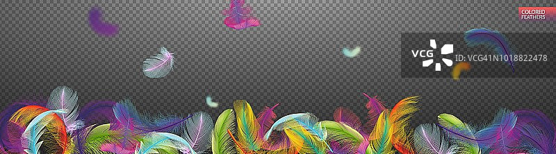 五彩缤纷的羽毛在透明的背景上旋转。轻盈可爱的羽毛设计。为设计元素。矢量插图。图片素材