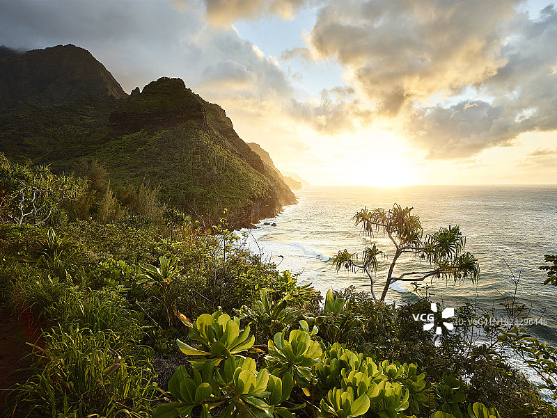 美国，夏威夷，考艾岛，纳帕利海岸徒步旅行路线图片素材