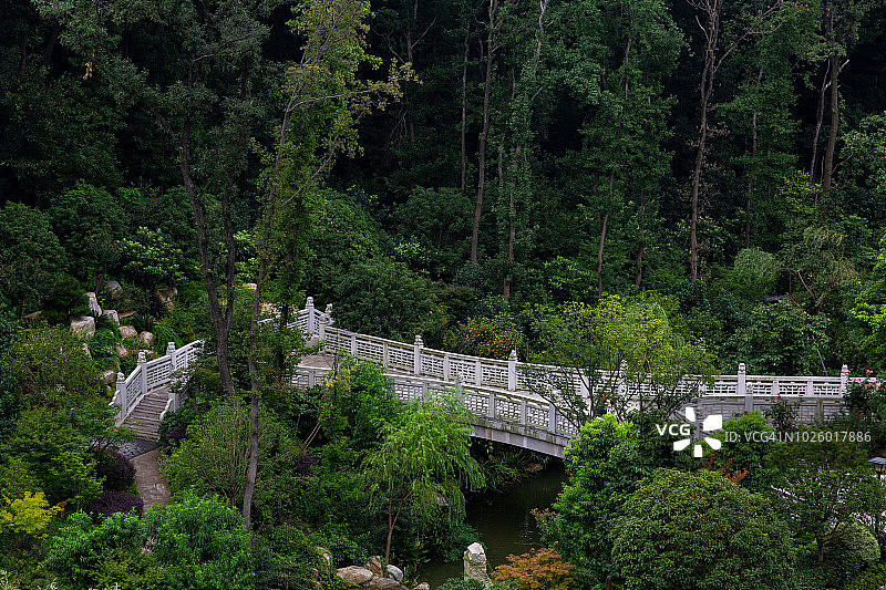 森林里的石桥图片素材