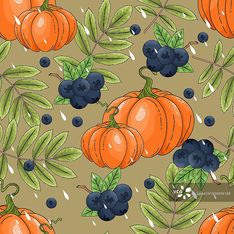 南瓜，浆果和叶子的无缝图案。秋天。矢量插图。图片素材