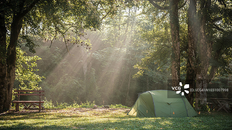 在波斯尼亚和黑塞哥维那的苏特耶斯卡国家公园露营时，晨光穿过树林图片素材