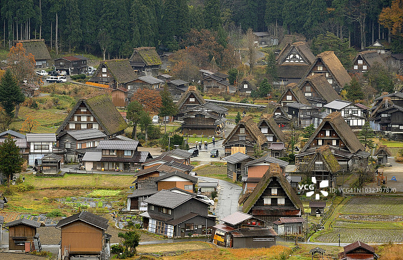 日本，日本阿尔卑斯山，白川吾，茅草屋顶的房子图片素材