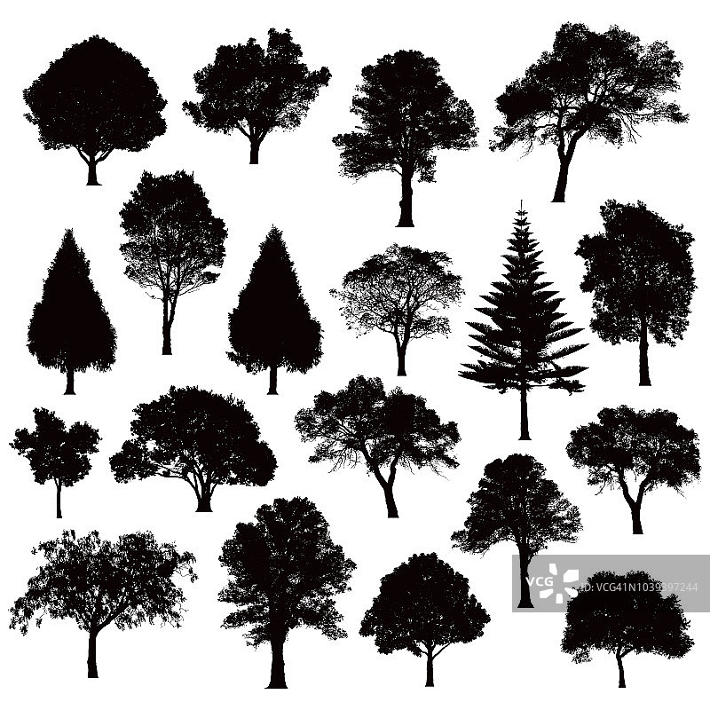 详细的树剪影-插图图片素材