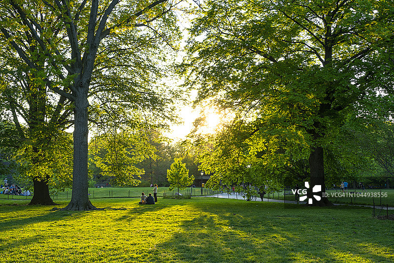 夕阳照亮了大草坪中央公园新鲜的绿树。图片素材
