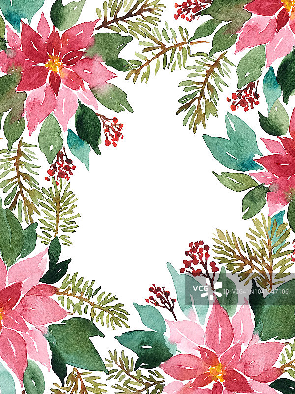 圣诞插花模板一品红，云杉和红莓。常青树的水彩画图片素材