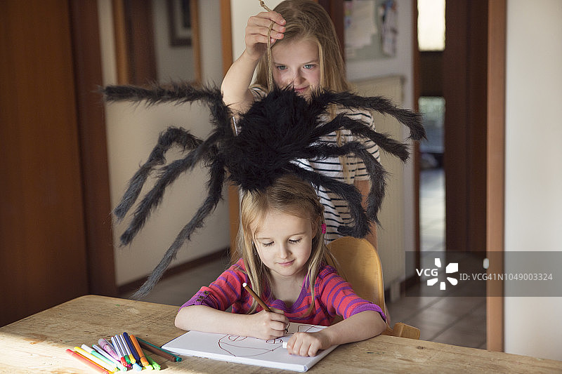 孩子坐在桌旁画画，妹妹在后面准备用大玩具蜘蛛吓她图片素材