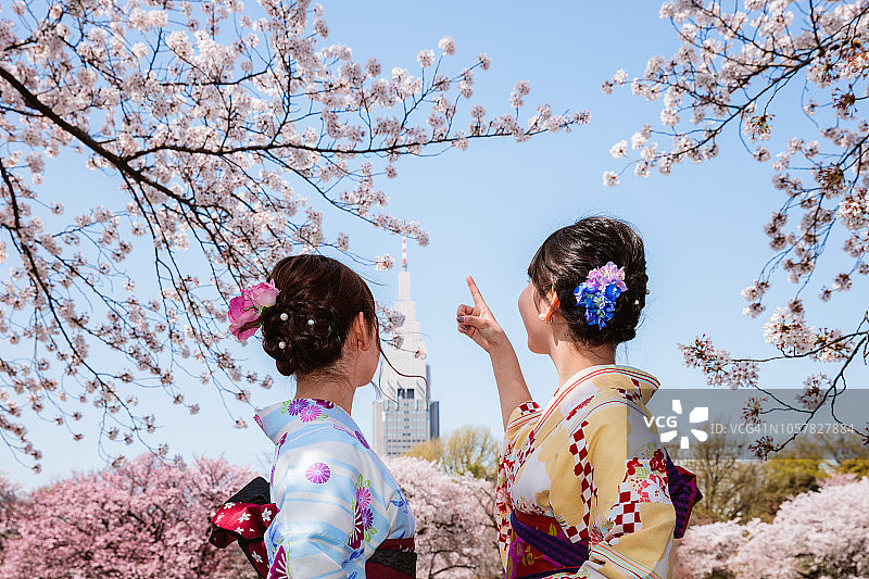 日本东京，樱花树下穿着和服的日本妇女图片素材