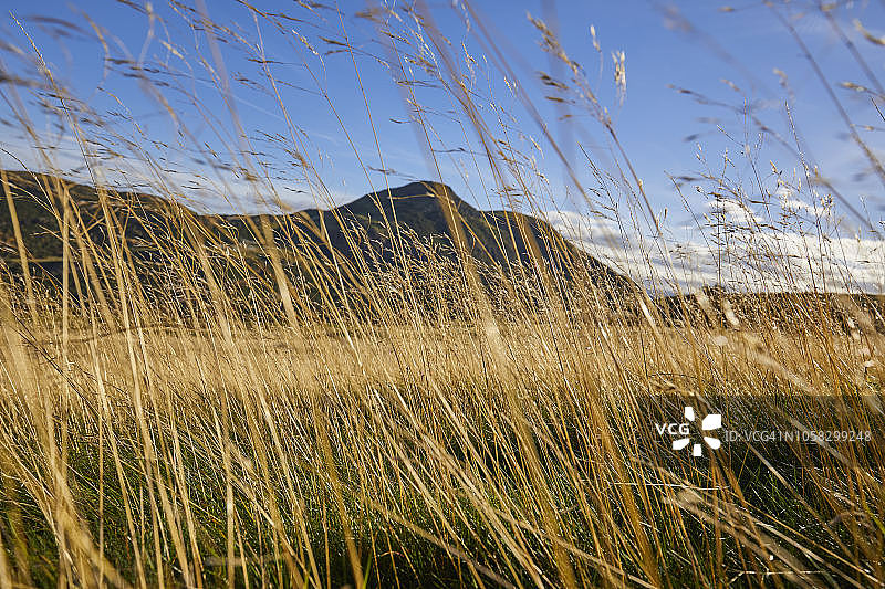 阿瑟的座位，山顶，透过高高的草地，荷里路德公园，爱丁堡图片素材