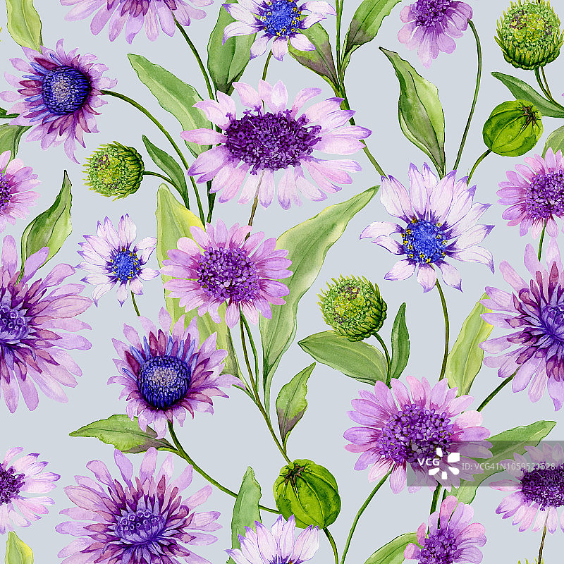 美丽的蓝色和紫色的雏菊花与绿色的叶子在光的背景。春天无缝模式。水彩画。手绘花卉插图。图片素材