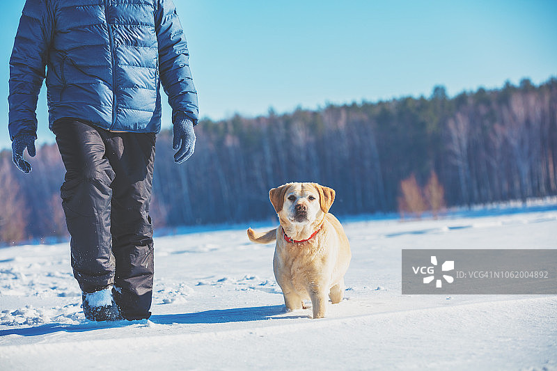 一个快乐的男人和他的拉布拉多猎犬在冬天的雪地里散步图片素材