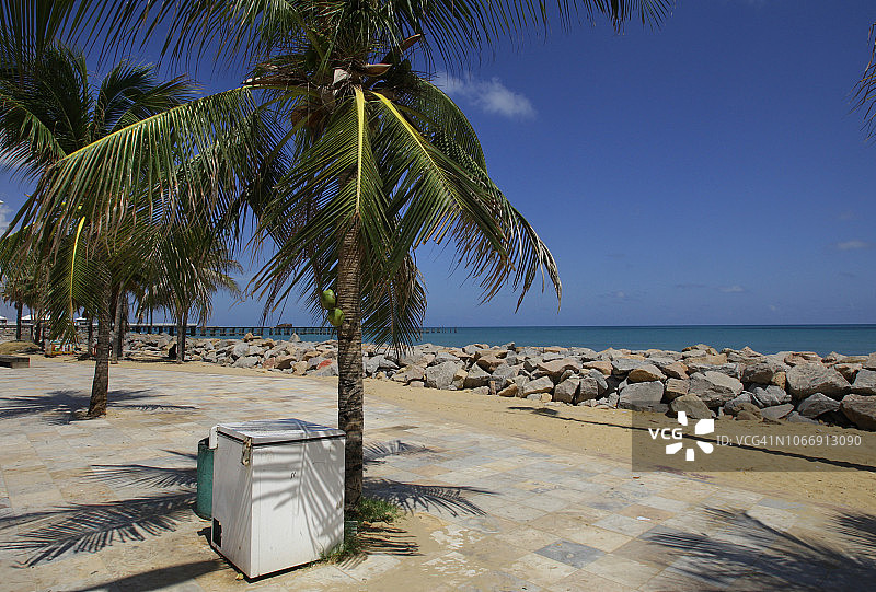 巴西福塔雷萨的伊拉西马海滩图片素材