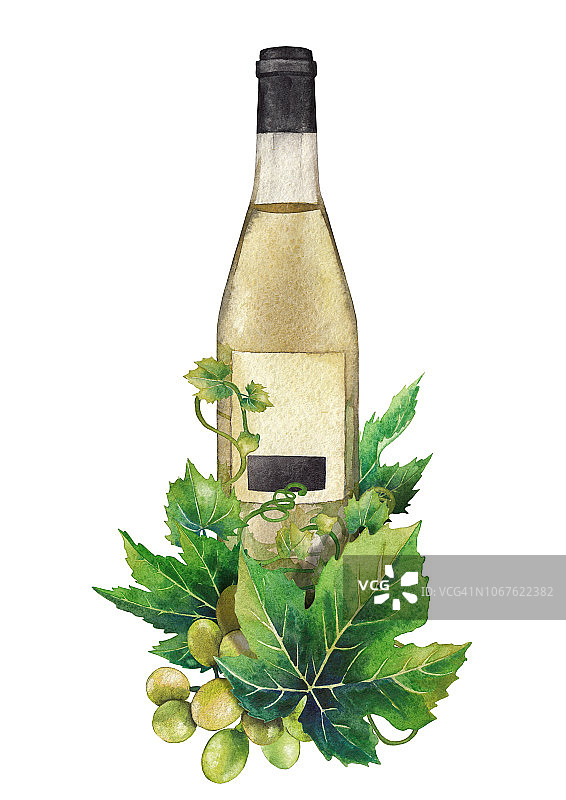 用葡萄叶子和浆果装饰的白葡萄酒水彩瓶图片素材