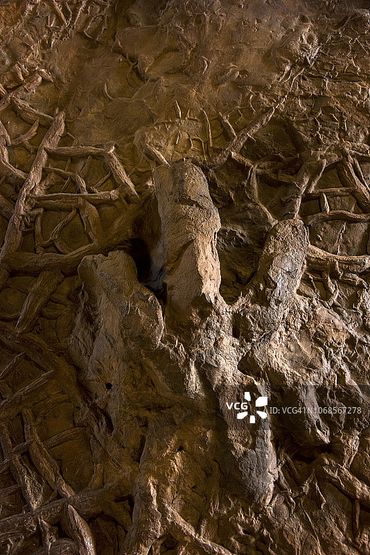 恐龙足迹化石图片素材