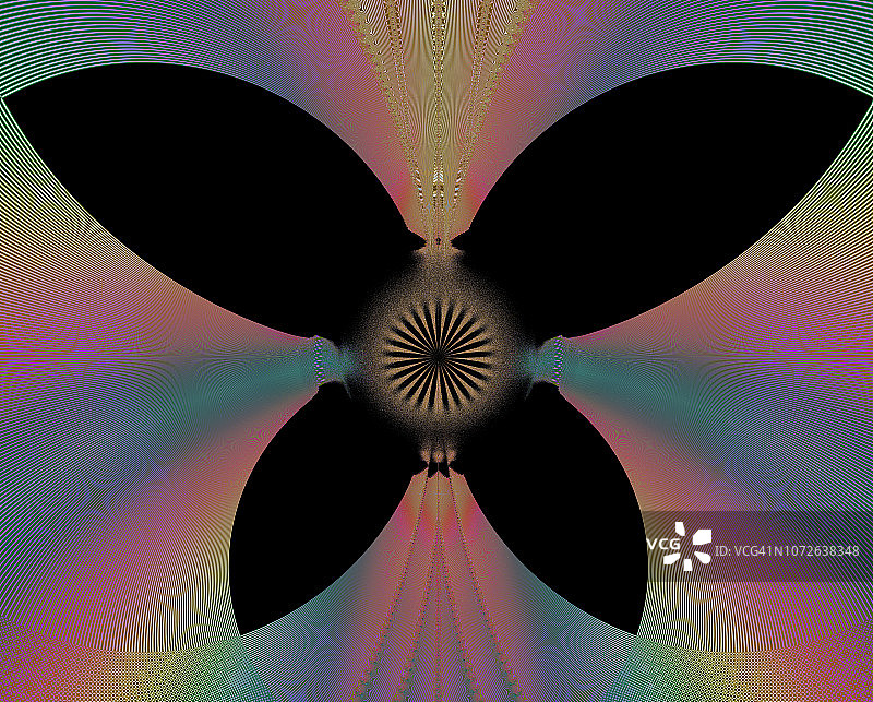 分形:程式化的黑色花或蝴蝶在华丽多彩的背景图片素材