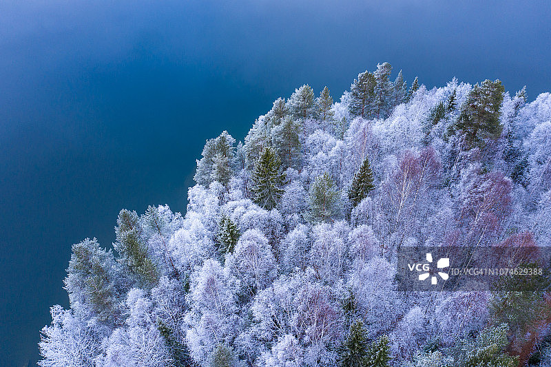 湖边的树木被厚厚的白霜覆盖着图片素材