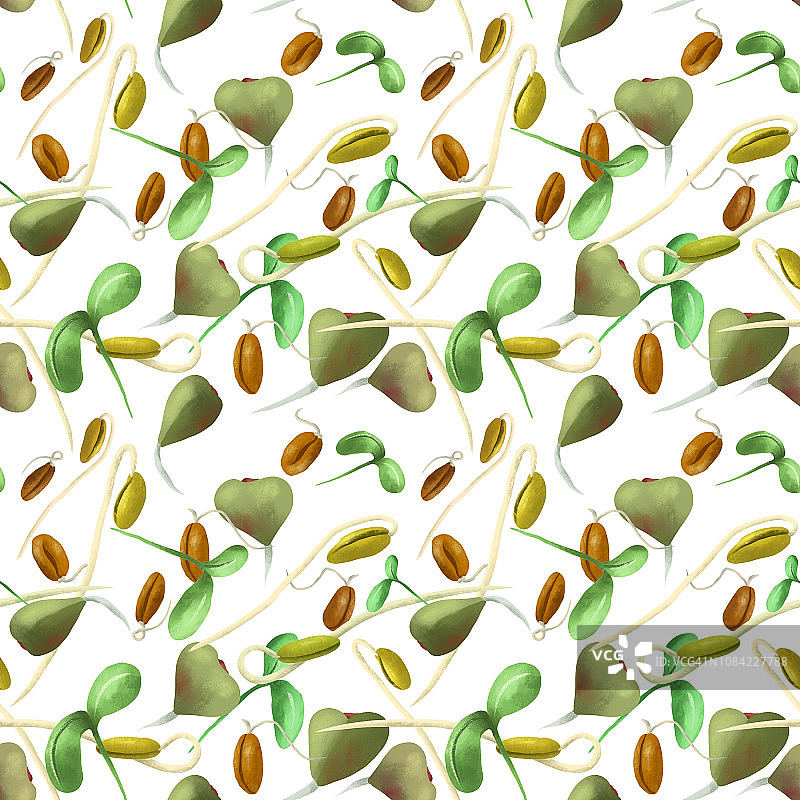 植物无缝模式的小荞麦大豆小麦芽，用于素食和健康的食谱。图片素材