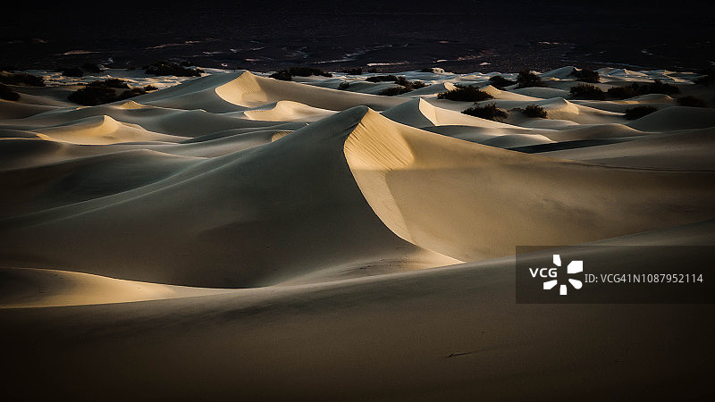 美国加州死亡谷牧豆树平原沙丘图片素材