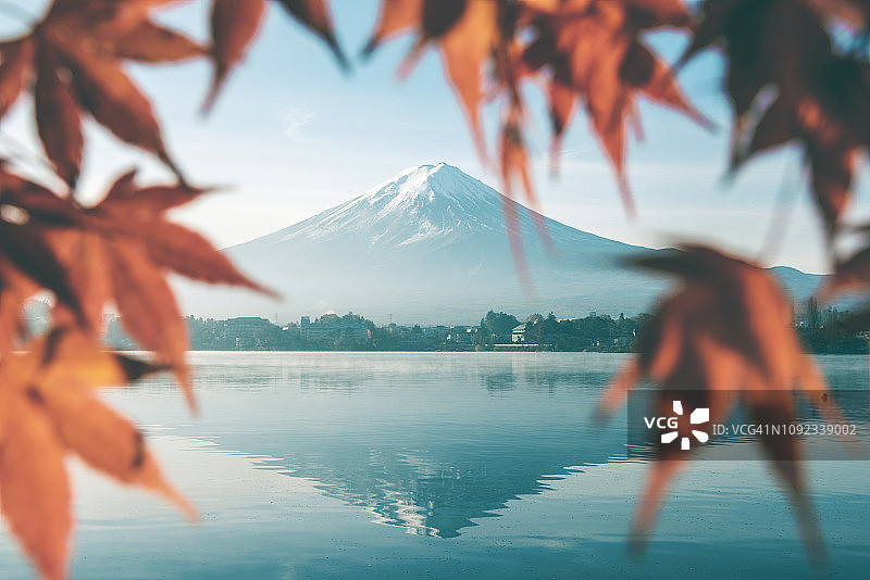 红色的枫叶和日本富士山图片素材