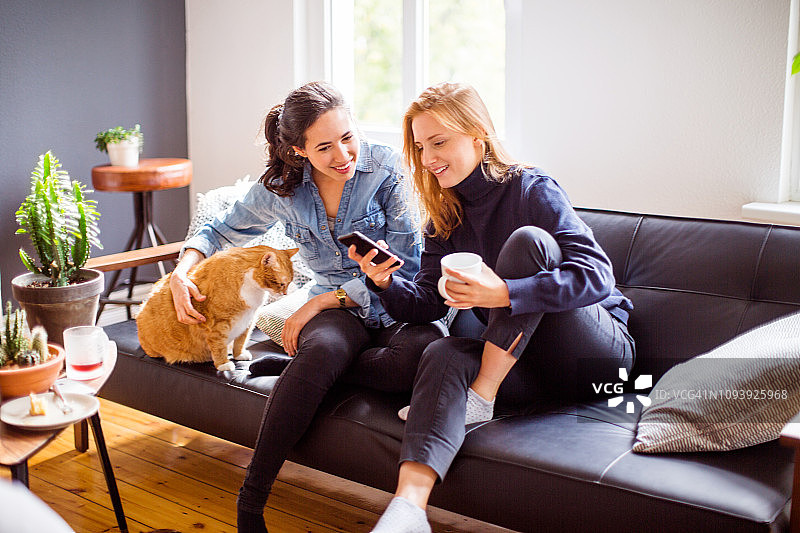 女性朋友与猫使用智能手机图片素材