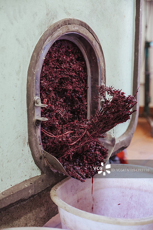 高角度的破碎葡萄在机器在酒窖图片素材