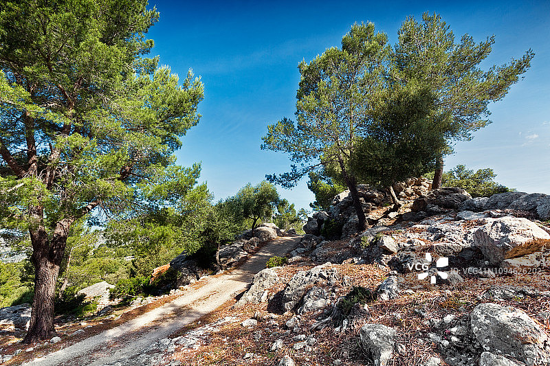 在Tramuntana山脉中有岩石和树木的徒步小径。图片素材